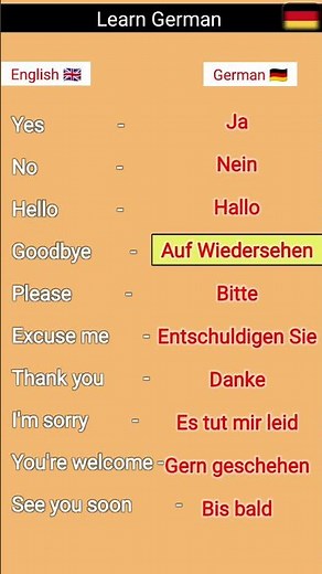 Learn German Basics 🇩🇪 | Easy German Words for Beginners #germanforbeginners #shorts