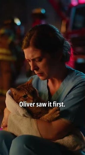 Cat Saved Owner From Kitchen Fire