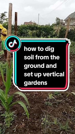 How to Dig Soil and Create Vertical Gardens