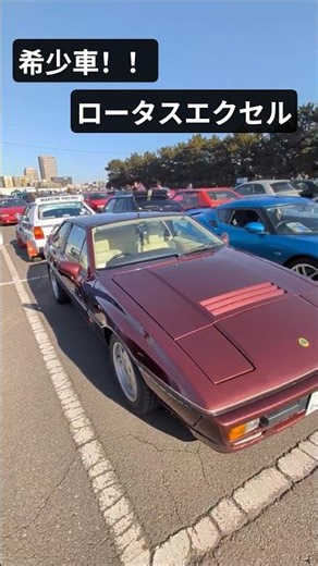 LOTUS EXCEL ロータス エクセル