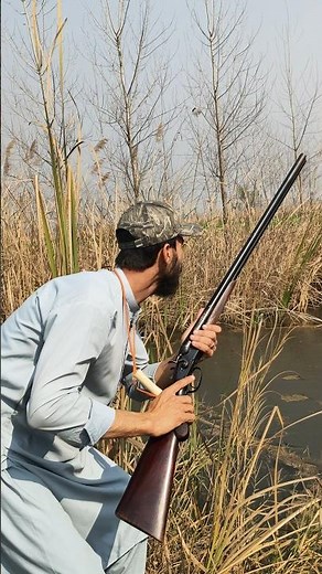 Duck Hunting with Perfect Calls