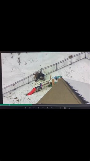 Charlotte Mecklenburg Police Department, North Carolina in pursuit of 1 of 4 that jumped and ran after a police pursuit. #CMPD #pursuit #runner #k9 #k9unit #k9handler #GotEm #arrest #charlotte #northcarolina #reels #trendingreels #reelsvideo #reelsvideoシ #reelsfypシ #trending #viral #video #viralvideo #trendingreelsvideo #trendingnow #trendingvideo #reelsviral #viralreels #fbreels #reelsfb #fypシ゚viralシ #fypviralシ #fyp #foryoupage | K-9 Joker & K-9 Bane