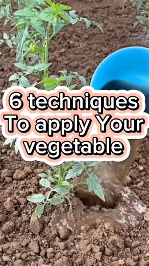 #GardeningHacks #SustainableLiving #UrbanGardening #PlantCare #GardeningTips #EcoFriendly #OrganicGardening #HomeGarden | Agriculture 7.7