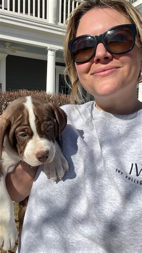 Lizzy Confalone Real Estate on Instagram: "Come spend the day with me volunteering for transport day with Mile High Lab Mission 🐾 On the agenda: early alarms, strong coffee, car rides, tail wags, and a sprinter van full of puppies. It’s incredibly fulfilling to help these sweet pups get one step closer to their forever homes. 🐶🏠❤️ And the best part? One of the puppies we transported ended up being adopted by my friends Greg + Brooke 🥹 Want to get involved? Comment “Volunteer” for info or sen