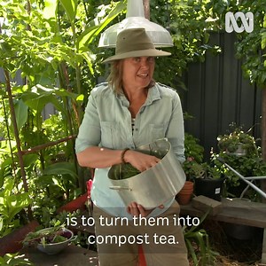 77K views · 754 reactions | Making compost tea is great way to nourish your garden and it's great for the environment  | Gardening Australia | Facebook