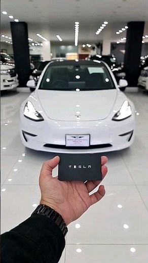 Tesla Model 3 Performance Long Range 2020 | Dual Motor