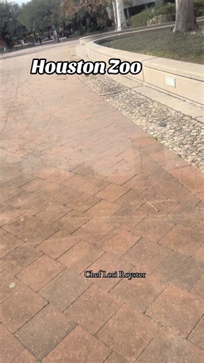 Exploring the Houston Zoo on a Beautiful Day