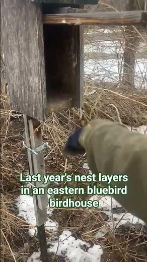 Cleaning out a bluebird house, the birds made three nests last summer