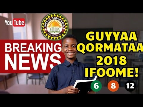 Guyyaan Qormaata Kutaa 6, 8 fi 12 Bara 2018 Ifoomeera! 🚨
