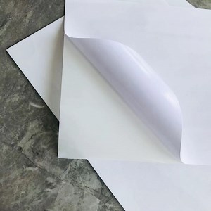 [Hot Item] 70 G Wood Free Sticker Paper with White Liner