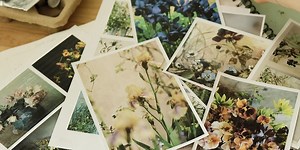 Revitalizing the Creative Spirit