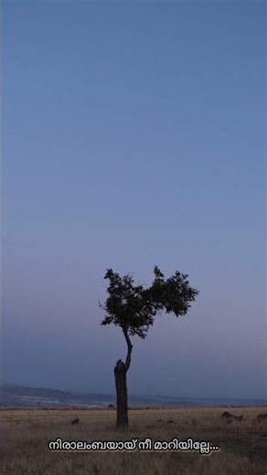 വാര്‍മഴവില്ലേ ഏഴഴകെല്ലാം | KS Chithra | Ravindran Master | Mizhikalil Randilum Song