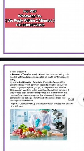 Class 12 Chemistry Project File | Study of Insecticides on Fruits & Vegetables | 2025-26 | With PDF