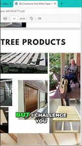 Paulownia Trees The Carbon Sequestration Secret Revealed!