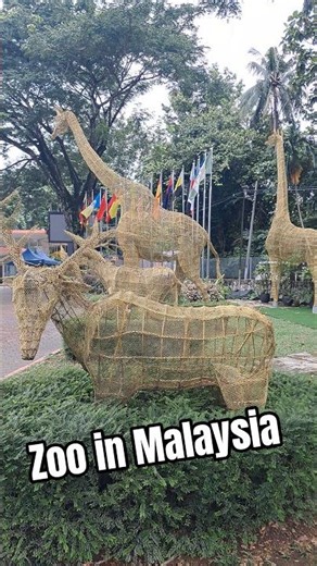 Zoo negera Malaysia 🇲🇾 #zoo #zoonegaramalaysia #dreamlesstraveller