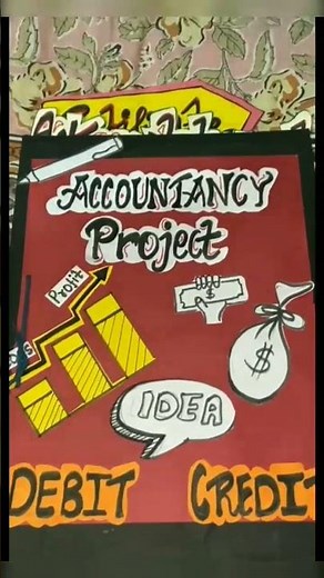 accountancy project class 11