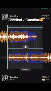 Cannibal X Cannibal #mix #spotify #fyp #kesha #cannibal | kesha