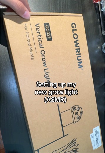 Setting Up My New Grow Light for Houseplants