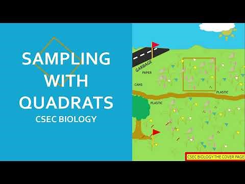 How to find species density
