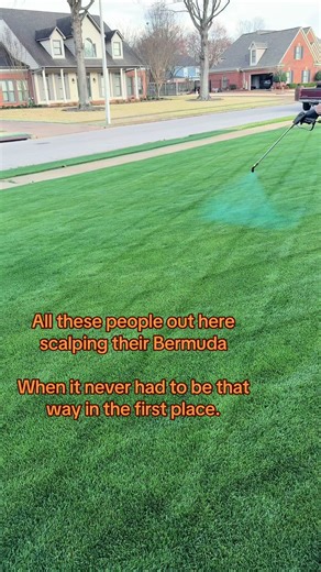 Effective Overseeding Tips for a Thriving Lawn