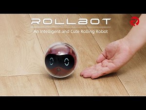 Rollbot - An Intelligent Rolling Robot