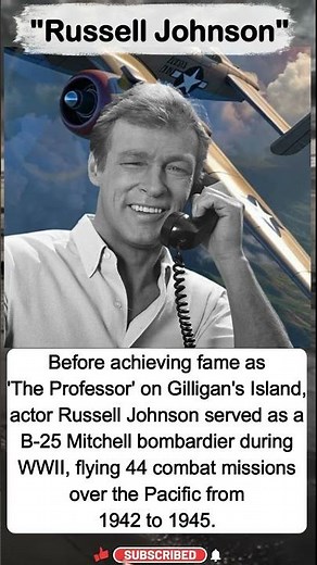 'The Professor' on Gilligan's Island✈️💥