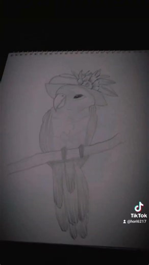 Beautiful parrot sketching transition ❤️🦜made by me 👆 please subscribe me 🥺
