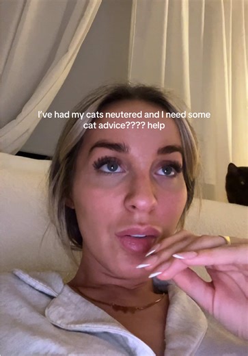 Helpful Tips for Caring After Cat Neutering