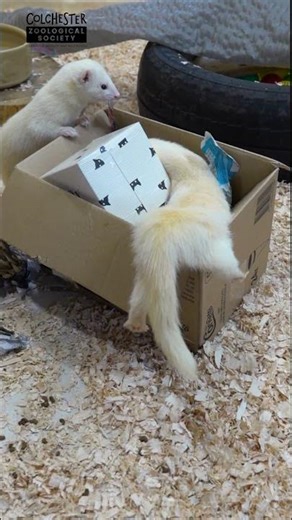 Today is Global Recycling Day! ♻