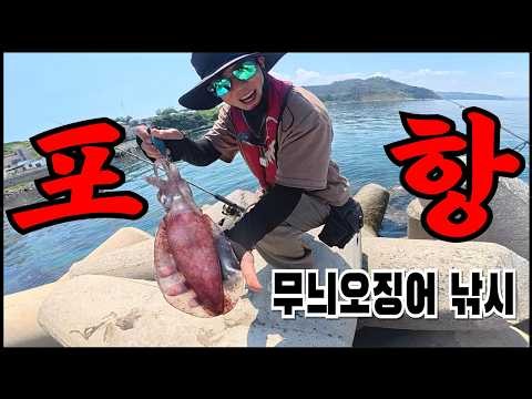 땡볕에서 잡아내는 무늬오징어 낚시. 먹방까지 (포항 무늬오징어 포인트)