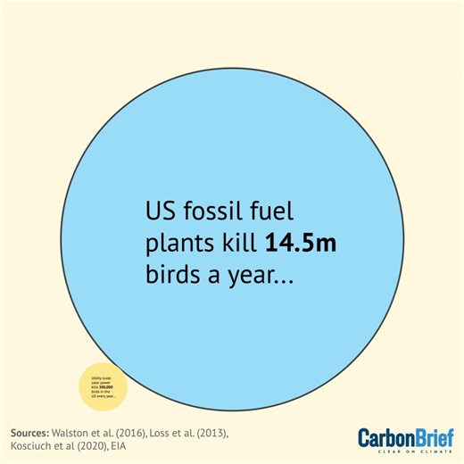 Solar power is already providing the “cheapest electricity in history” and is expected to play a pivotal role in the global transition away from fossil fuels. Yet, its rise as a clean source of energy has triggered a backlash, with numerous campaigns springing up to oppose new solar projects from the UK to Australia. These groups frequently draw on misinformation, spread by right-leaning media outlets, anti-renewable energy groups and predominantly right-wing political parties. In this piece, Ca