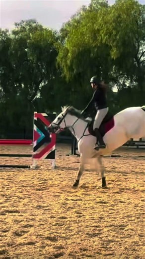 ❤️❤️❤️#equestrian #horse #showjumping