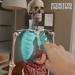 1.5K reactions · 452 shares | Some med students are turning to AR tech to learn anatomy more efficiently. #engineering | Interesting Engineering | Facebook