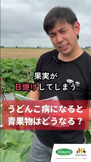 🎃カボチャの病気『うどんこ病になると青果物はどうなる？ 』#ヴィルモランみかど #おいしい野菜の種