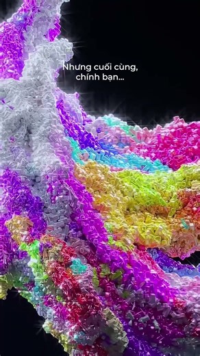 A Tour of Vietnam - "Enough" Exhibition | Local Mobile Network