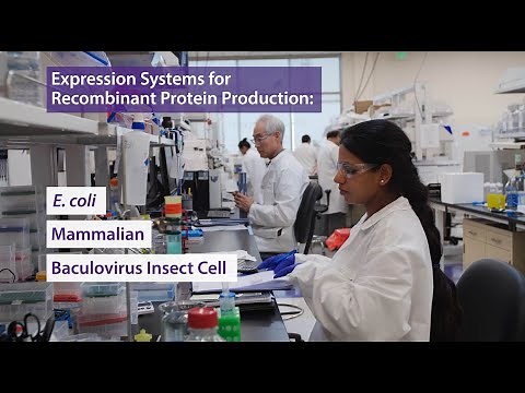 BioLegend Recombinant Proteins