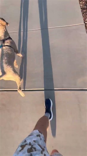 I signed up for another Ultra Marathon. 50K Pass Mountain here I come!