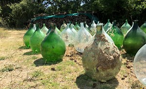 How to Make Wine without Any Equipment