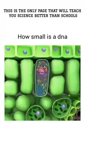 You Won’t Believe How Tiny DNA Really Is! 😱🧬#shorts #shortvideo #biology