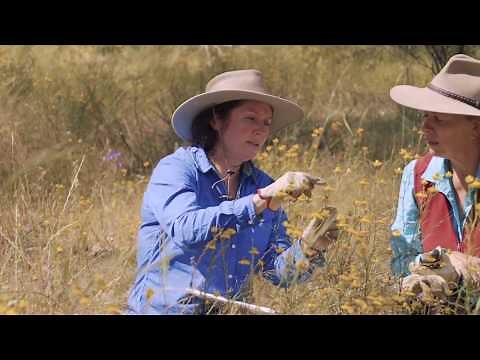 Local Land Services - who we are and what we do