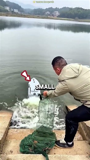 The Fish Catching Machine ❤