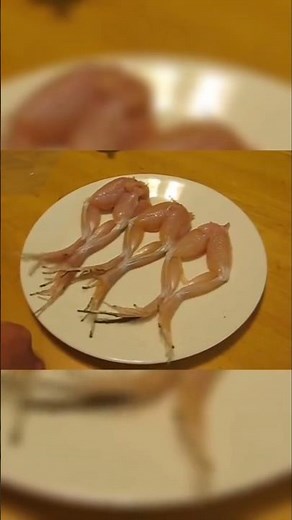 Dead Meat Still Moving?! Fish and Frog Legs That Refuse to Die! 🐟🐸