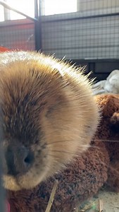 10K views · 54 reactions | Do I have anything particularly...