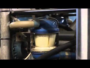 Kids guide to Farming Dairy