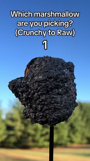 Delicious Roasted Marshmallows to Choose From