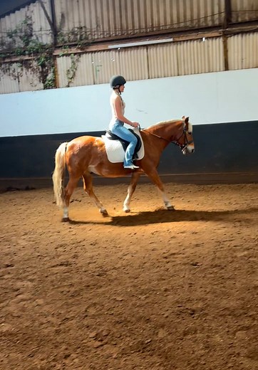 My First Cowgirl Horse Riding Lesson 🐄🌾