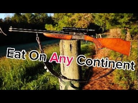 The Best Gun No One Talks About Anymore- The Savage 24v combo gun (grandpa is rolling in his grave)