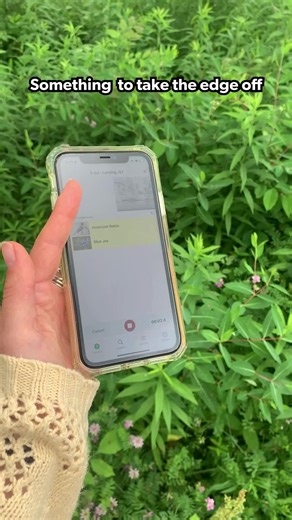 Discover Nature's Peace with Merlin Bird ID