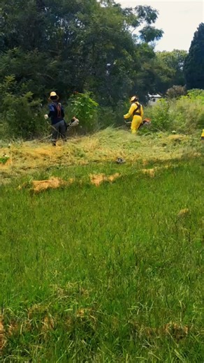 The African Ducks Association, in partnership with the Alfred Duma Local Municipality and members of the community, today (February 11) carried out an Alien Invasive Plants Removal Programme aimed at clearing invasive vegetation along the river near the golf course. The initiative seeks to protect and restore the natural environment while also enhancing safety in the area. Overgrown bushes have reportedly been used by criminals as hiding spots while committing offences. By clearing the invasive 