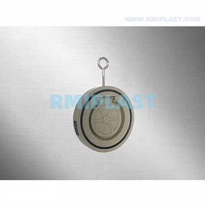 [Hot Item] Polypropylene PP Pph Single Disc Check Valve Wafer Type by JIS 10K DIN Pn10 ANSI Cl150 BS Standard DN40 DN50 DN65 DN80 DN100 DN125 DN150 DN200 DN250 DN300